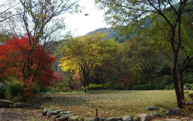 Gapyeong Sky Maru Pension
