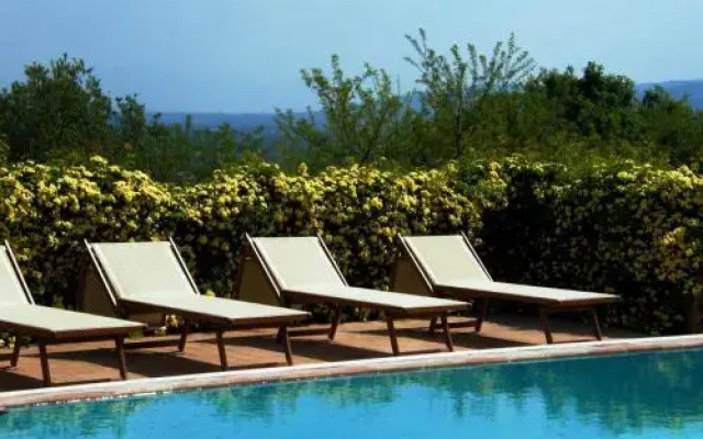 Agriturismo Il Vecchio Mandorlo