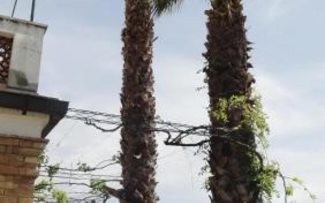 Le Ortensie Di Teresa