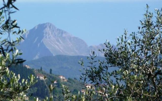 Fattoria Campo Romano