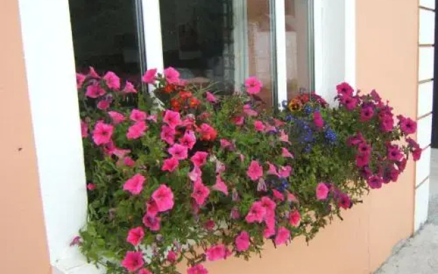 Drumville House Self Catering