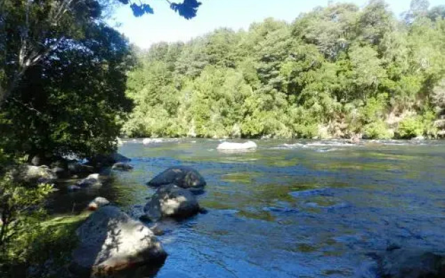 Cabañas Allipen