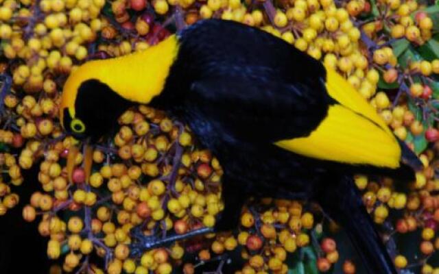 Yarrahapinni Homestead