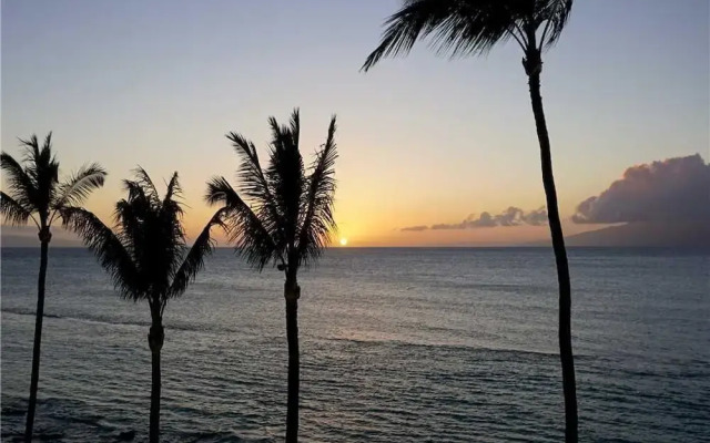 Paki Maui 421 by RedAwning