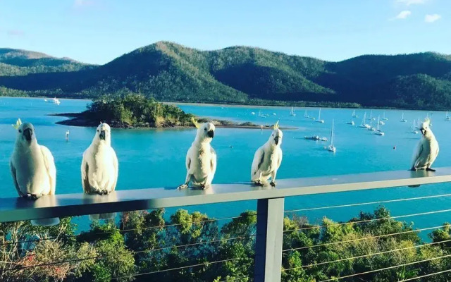 The Point Whitsunday Retreat