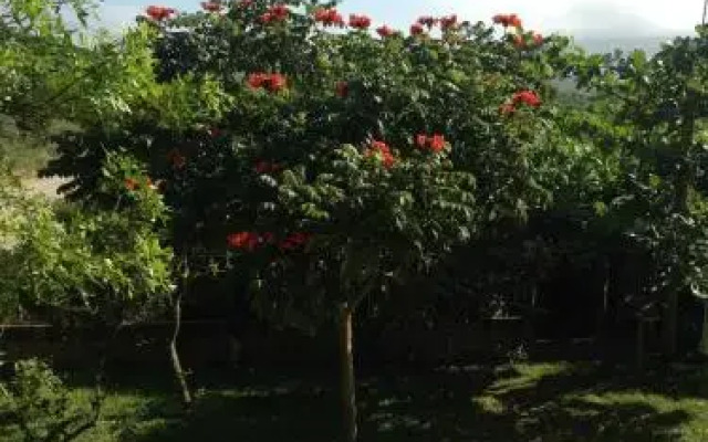 Recanto Nativos