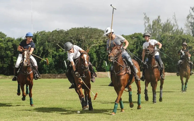 Bellevue Plantation & Polo Club