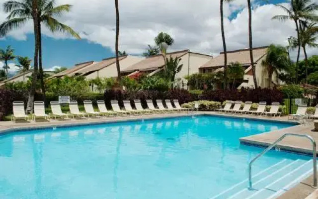 Maui Kamaole #K-209