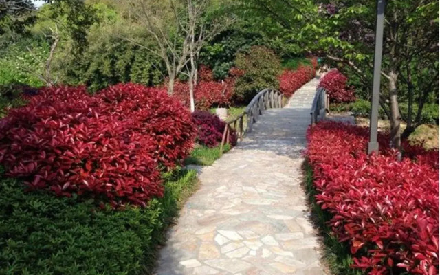 Huanxiu Resort And Spa