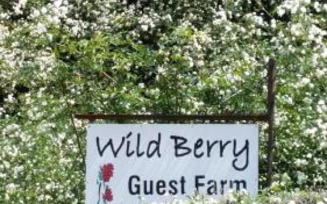 Wild Berry Guest Farm
