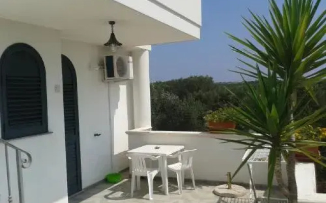 Azienda Agrituristica B&B La Torre