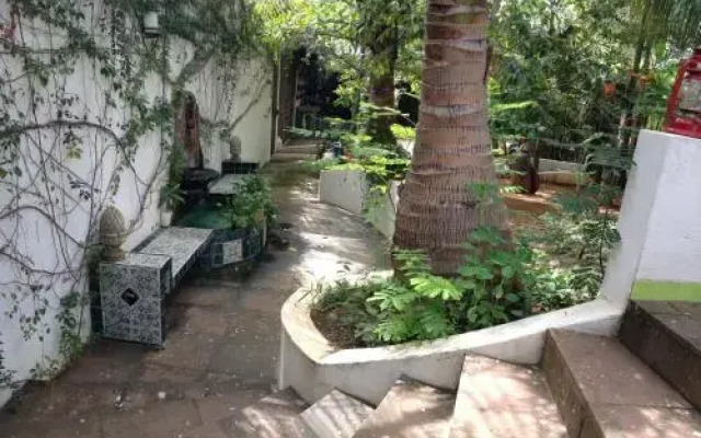 Casa Mocha