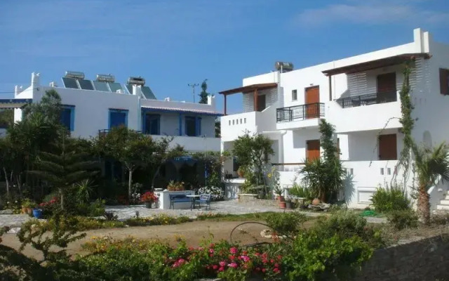 Amalia Studios