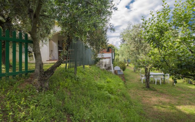 Holiday home Il Banano Massarosa