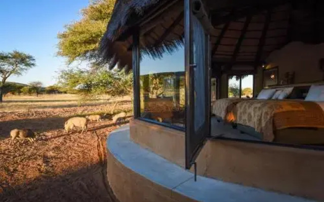 Okonjima Luxury Bush Camp