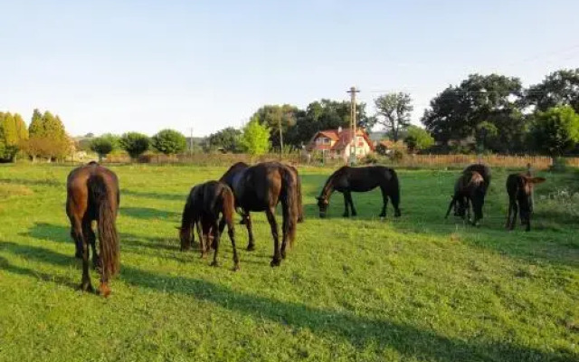 Dominic Boutique, Little Barn , Cloasterf