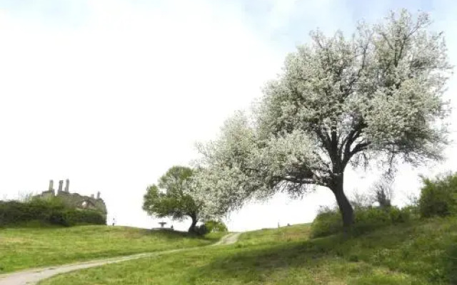 Borgo Di Ceri B&B
