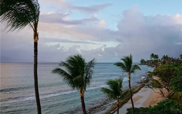 Paki Maui 421 by RedAwning
