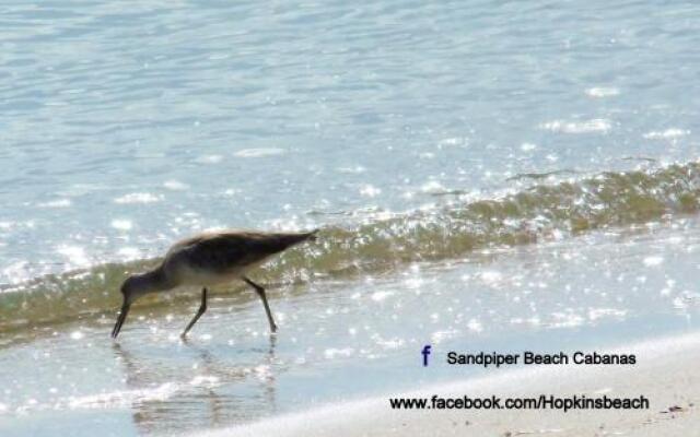 Sandpiper Beach Cabanas