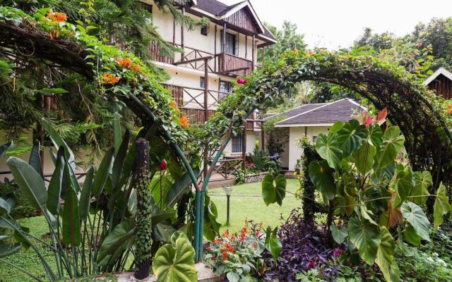 Aishi Machame Hotel