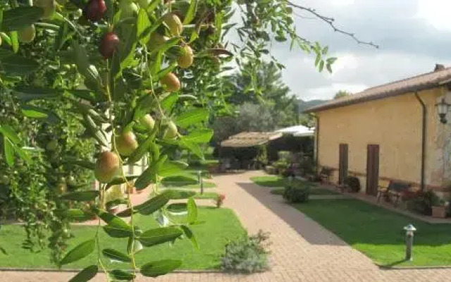 Agriturismo Podere Turicchio