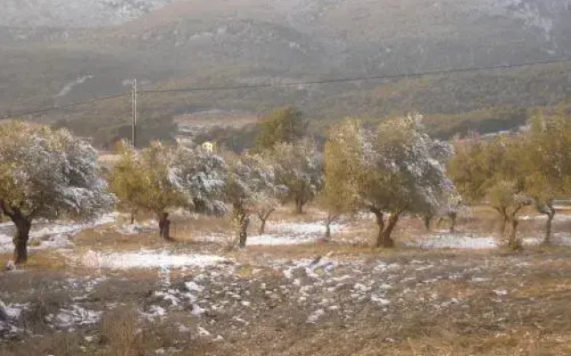 Casa Rural Masía Barbera