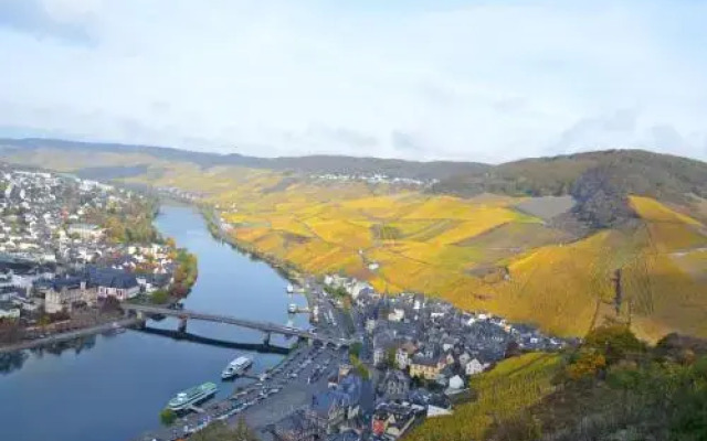 Moselle Rose