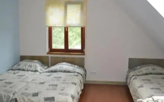 Pakalnės vingis
