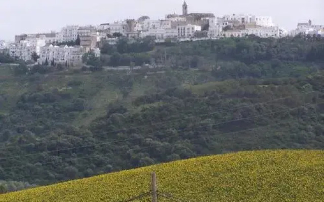 Vivienda Turística de Alojamiento Rural Cilla Vieja