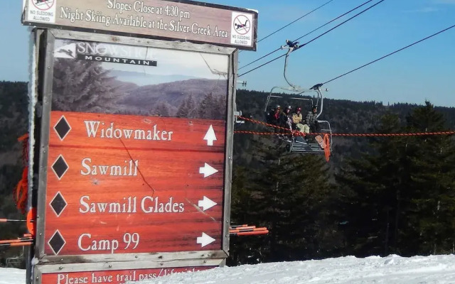 2 Br: Soaring Eagle 311