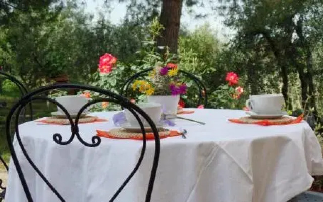 Tuscan Cottage With 2 Pools