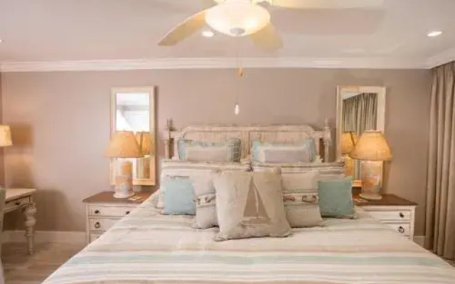 Sanddollar A303