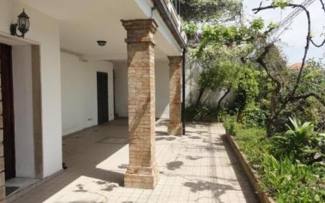 Le Ortensie Di Teresa