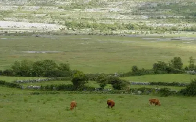 Clare's Rock Self-catering Accommodation