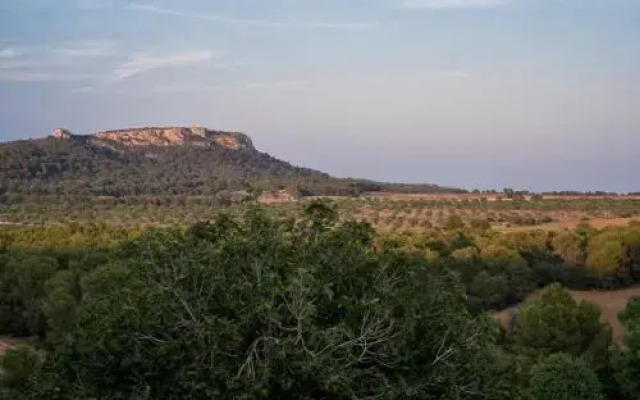 Finca El Puig