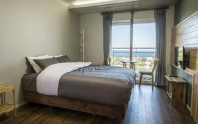 Jeju Berryberry Pension