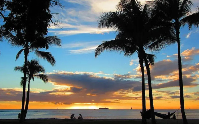 Honu Hale by RedAwning