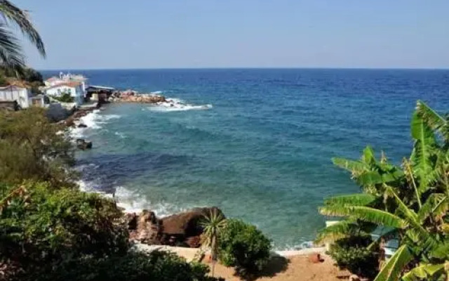 Alkioni Studios