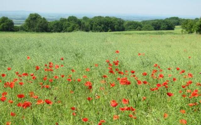 Ferienwohnung zum Kapuziner