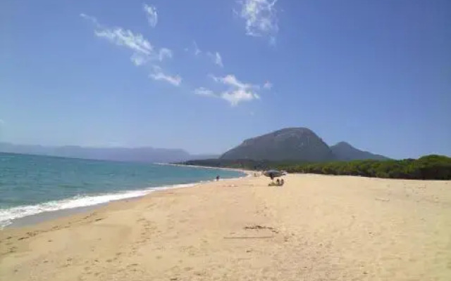 Happyvacation Di Cadoni Antonio