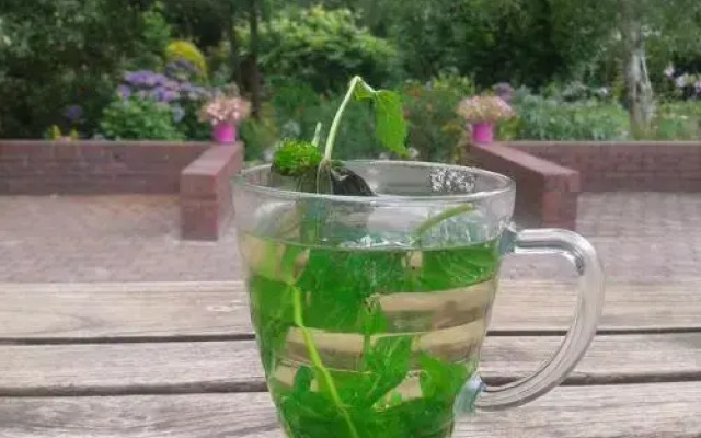 B & B het groene hart