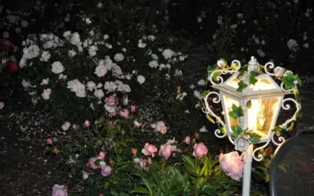 Rose e Cioccolato B&B