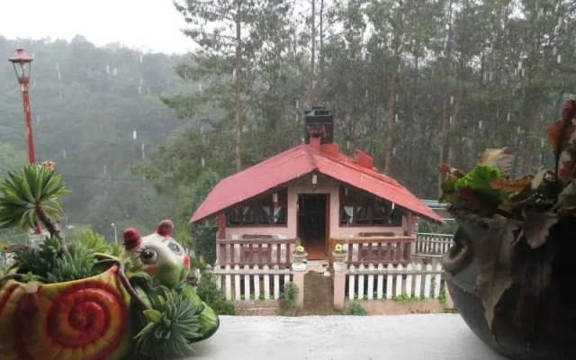 El Mirador