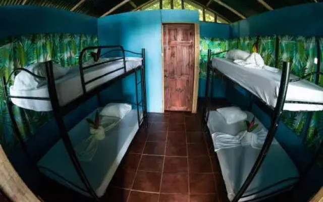 Corcovado Jungle Hostel