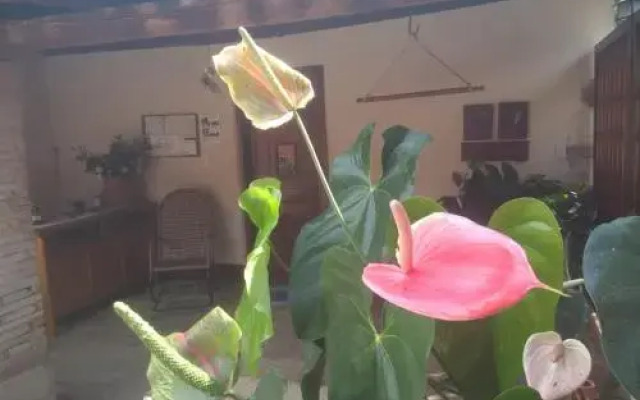 Pouso Vovo Laurinda