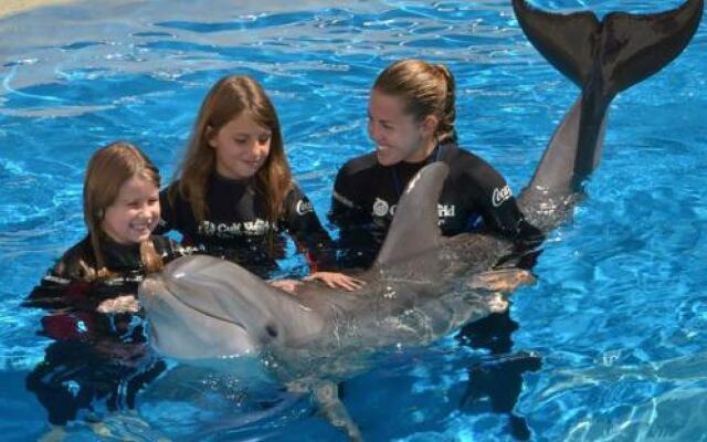 Emerald Beach 629 Realjoy Vacations