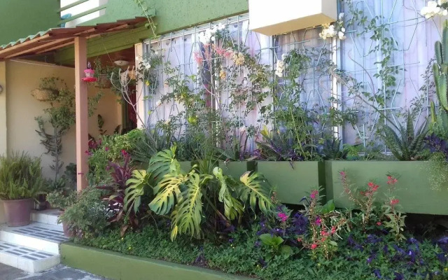 Vida Tropical Bed and Breakfast