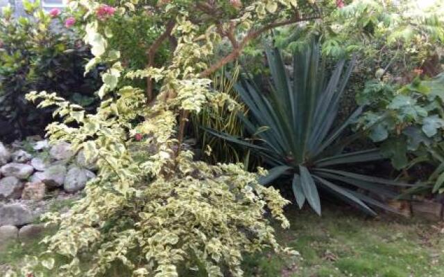 Gîtes dans un jardin