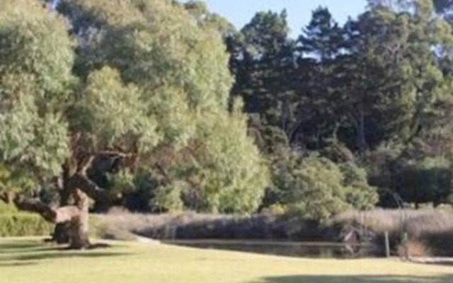 Tawharanui Lodge