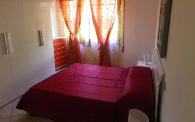 Casa Petunia